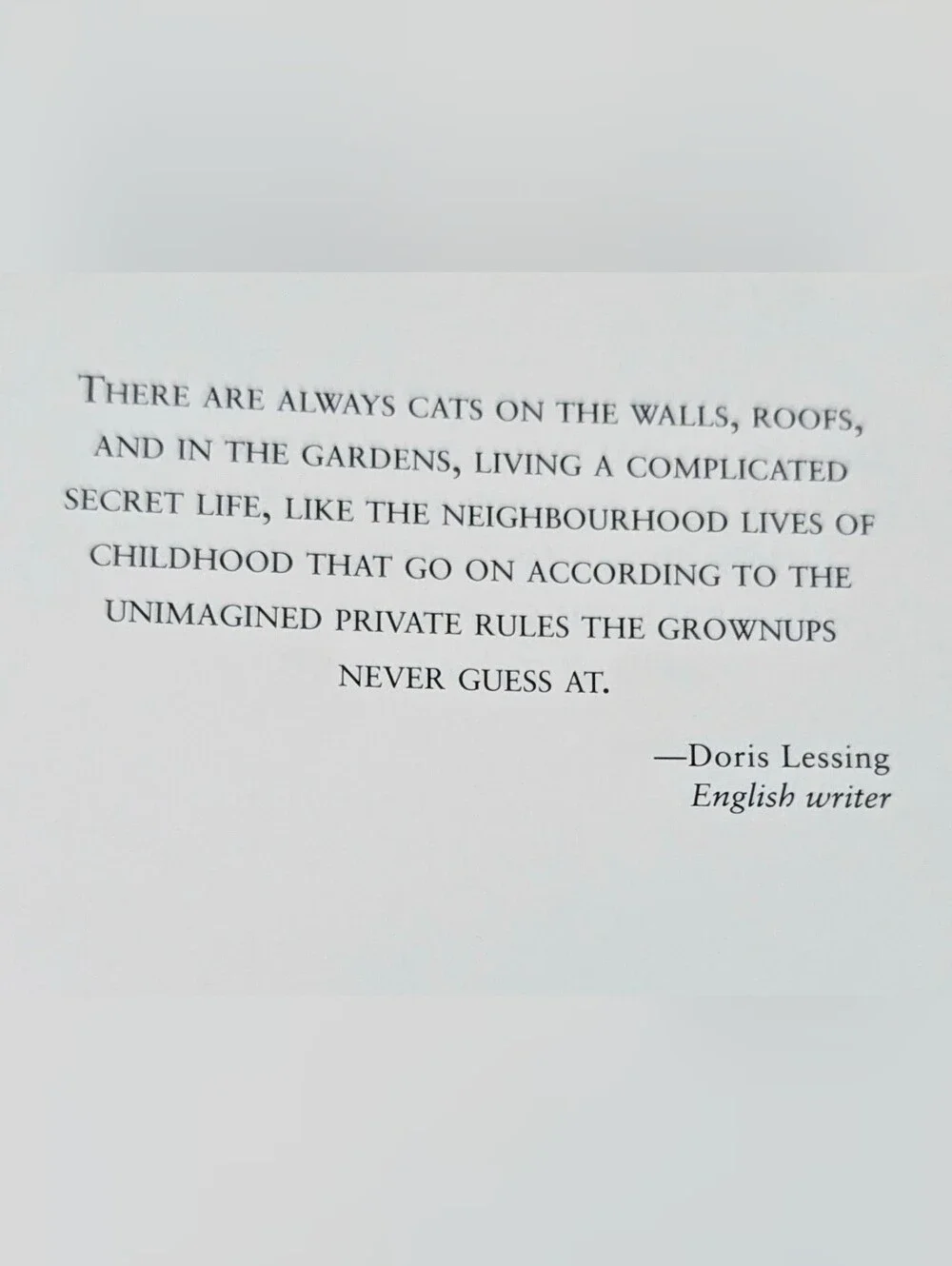 The Notable Cat Illustrated Cat Journal - Teal